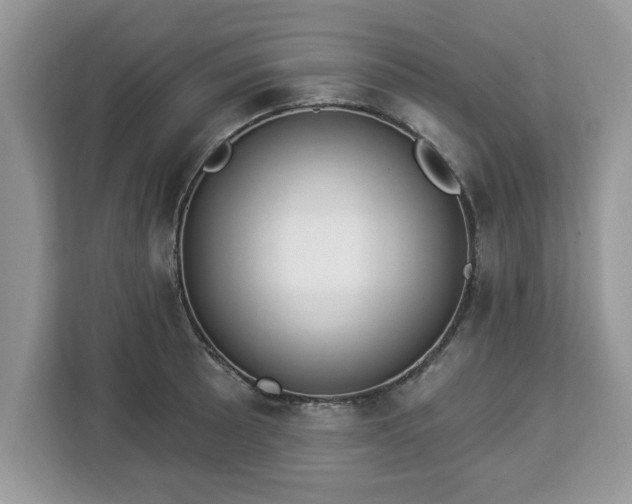 X0000112841089200908281547