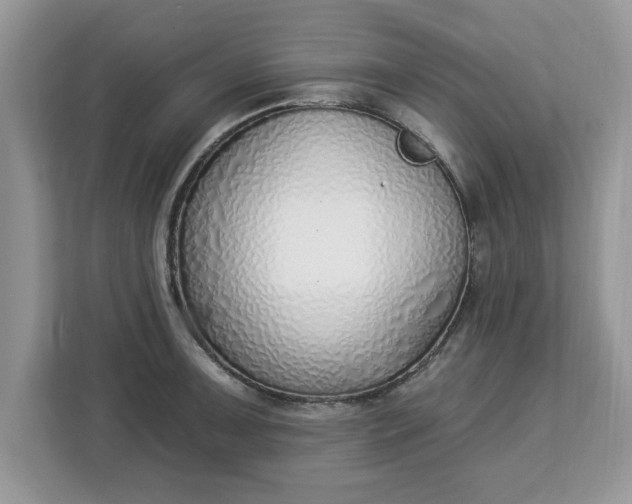 X0000112841091200908281547