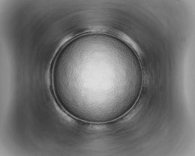 X0000112841095200908281547