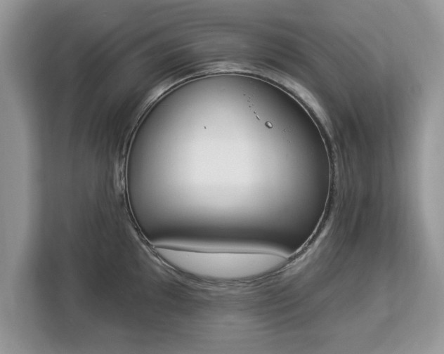 X0000112841097200908281547