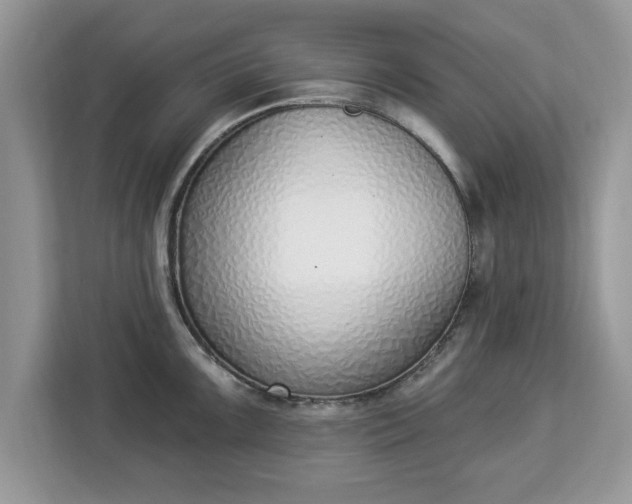 X0000112841099200908281547