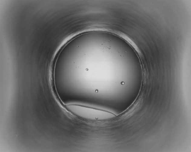 X0000112841101200908281547