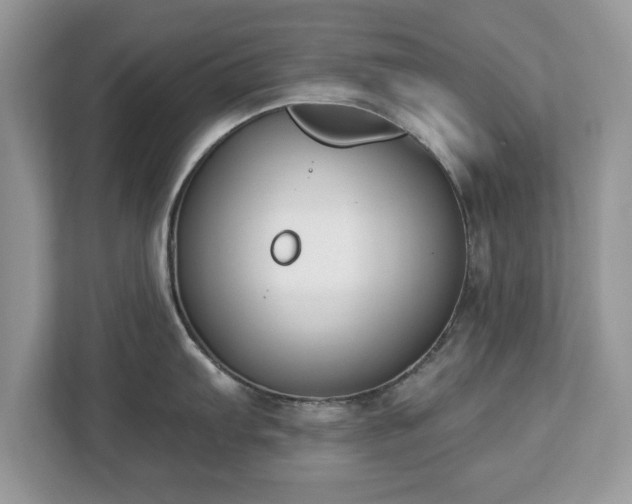 X0000112841103200908281547