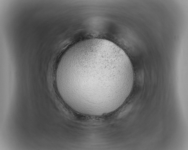 X0000112841105200908281546