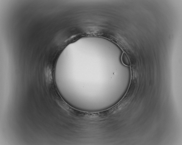 X0000112841106200908281546