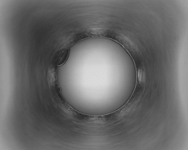 X0000112841107200908281546