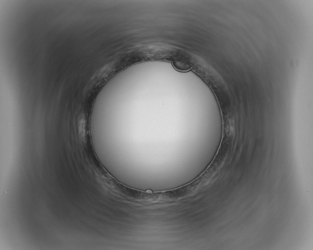 X0000112841108200908281546