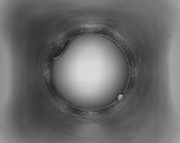 X0000112841109200908281546