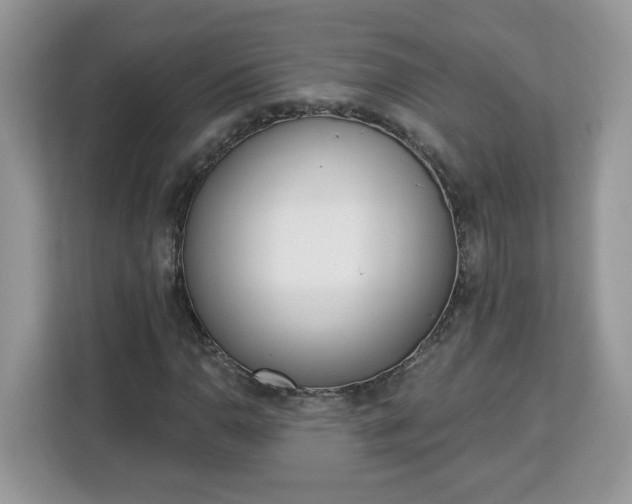 X0000112841110200908281546