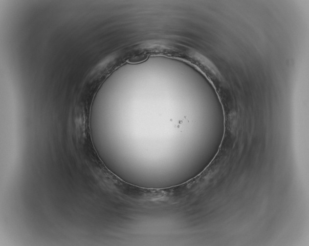 X0000112841111200908281546