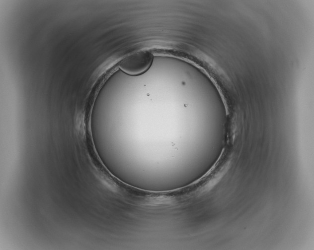 X0000112841113200908281546