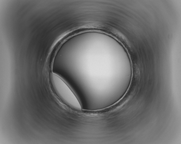 X0000112841114200908281546