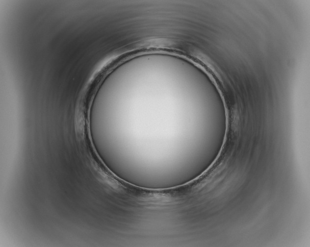 X0000112841115200908281546