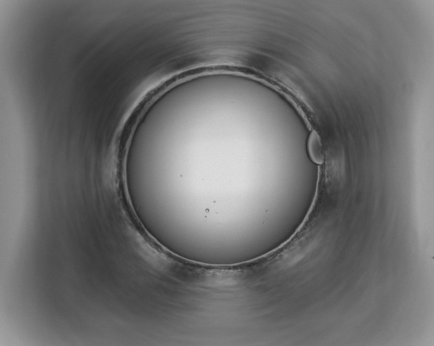 X0000112841116200908281546