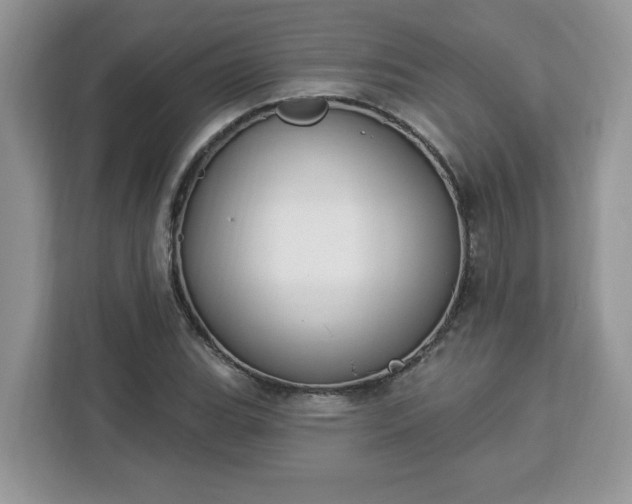 X0000112841119200908281546