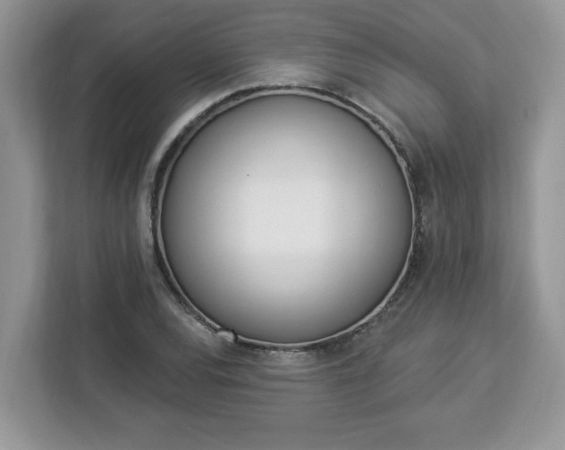 X0000112841120200908281546