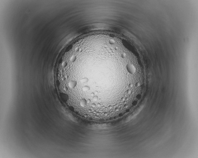 X0000112841121200908281546