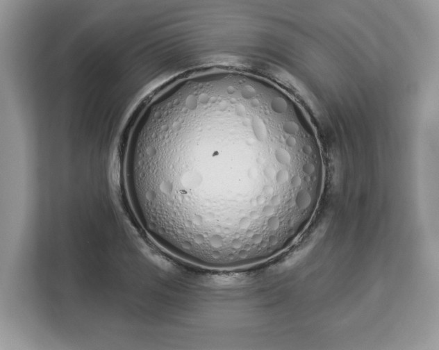 X0000112841125200908281546