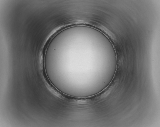 X0000112841126200908281546