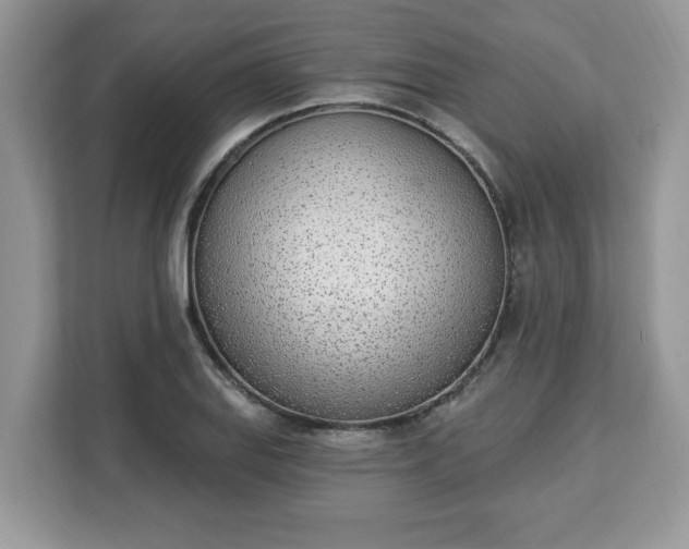 X0000112841127200908281546