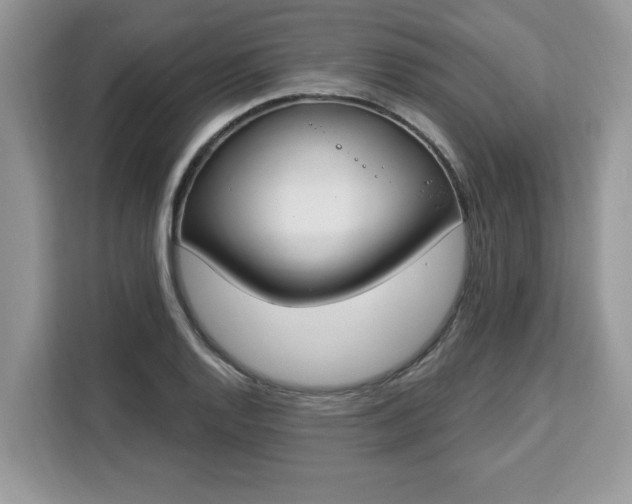 X0000112841128200908281546