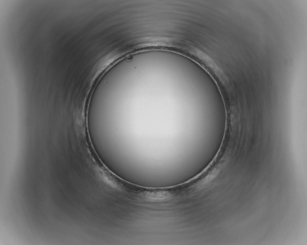 X0000112841129200908281546