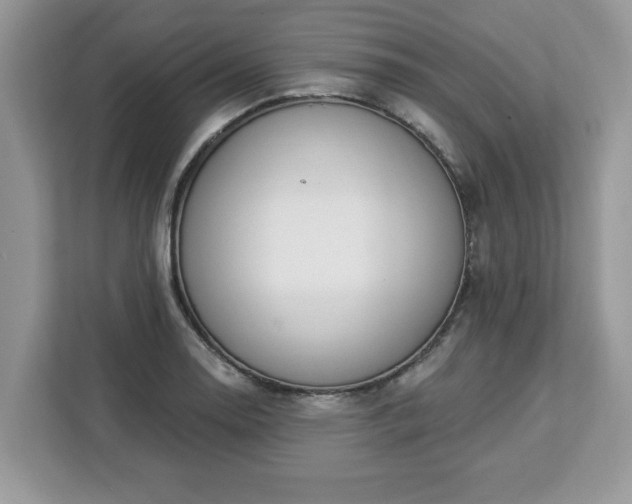 X0000112841130200908281546