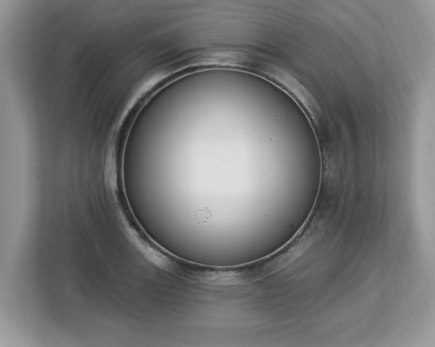 X0000112841131200908281546