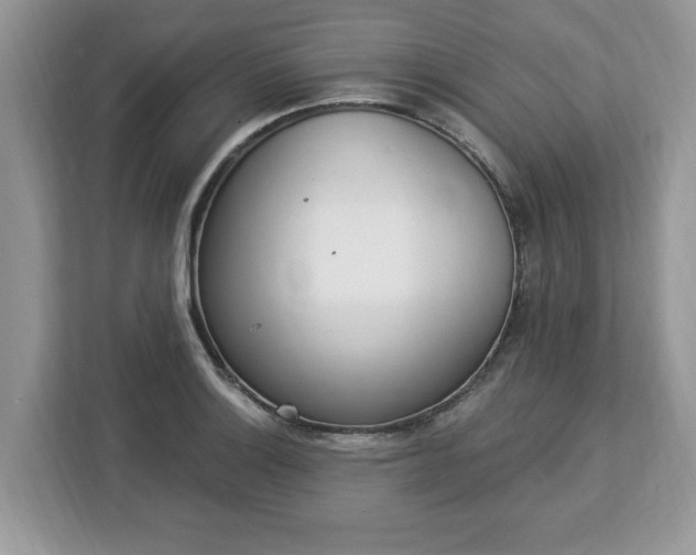 X0000112841132200908281546