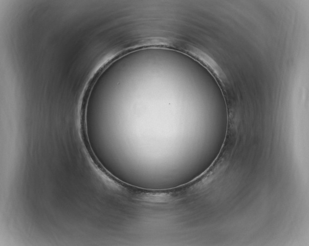 X0000112841135200908281546