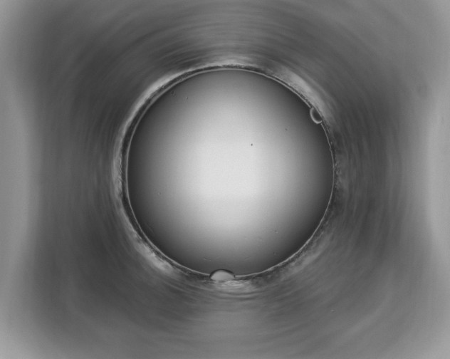 X0000112841140200908281546