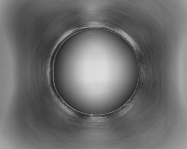 X0000112841142200908281546