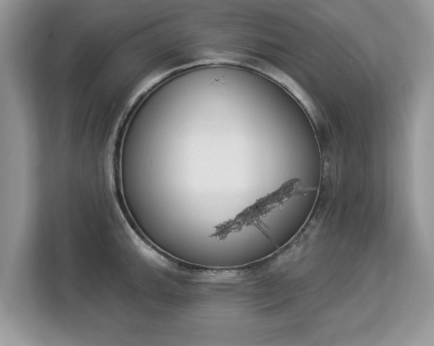 X0000112841143200908281546