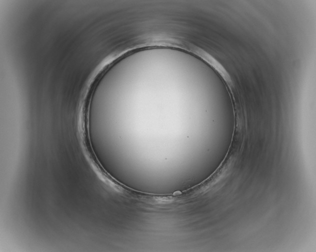 X0000112841144200908281546