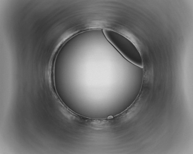 X0000112841146200908281546