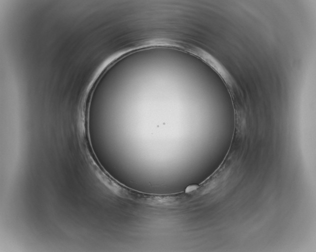 X0000112841148200908281546