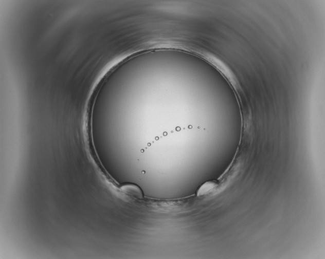 X0000112841149200908281546