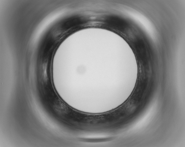 X0000112841150200908281546