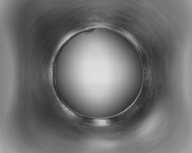 X0000112841151200908281546