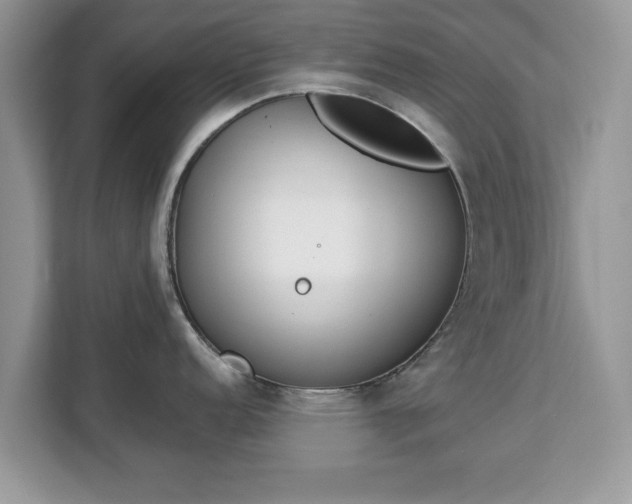 X0000112841152200908281546