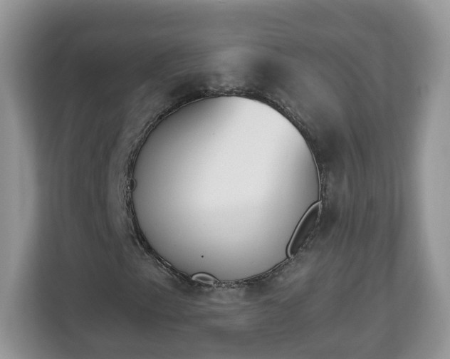 X0000112841153200908281546