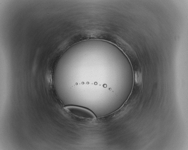 X0000112841155200908281546