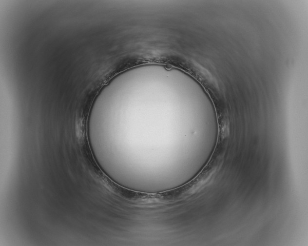 X0000112841156200908281546