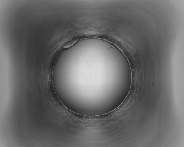 X0000112841157200908281546