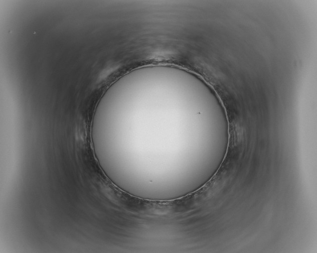 X0000112841158200908281546