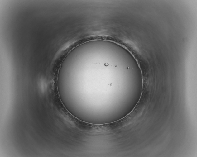 X0000112841159200908281546