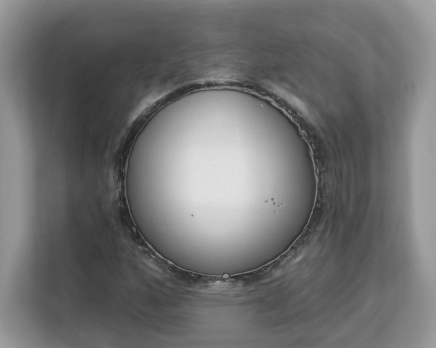 X0000112841160200908281546