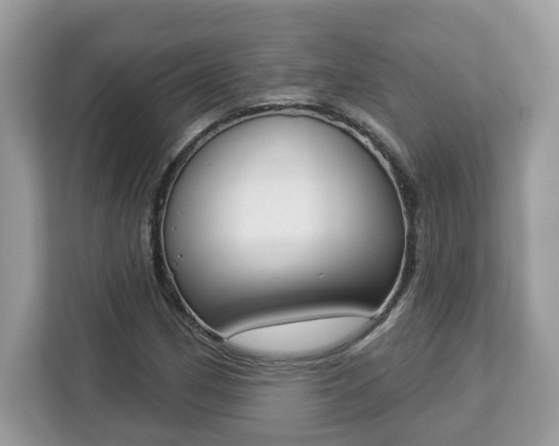 X0000112841162200908281546