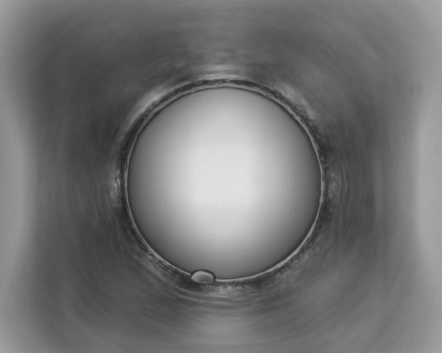 X0000112841167200908281546