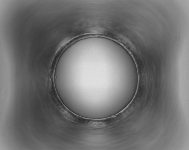 X0000112841168200908281546